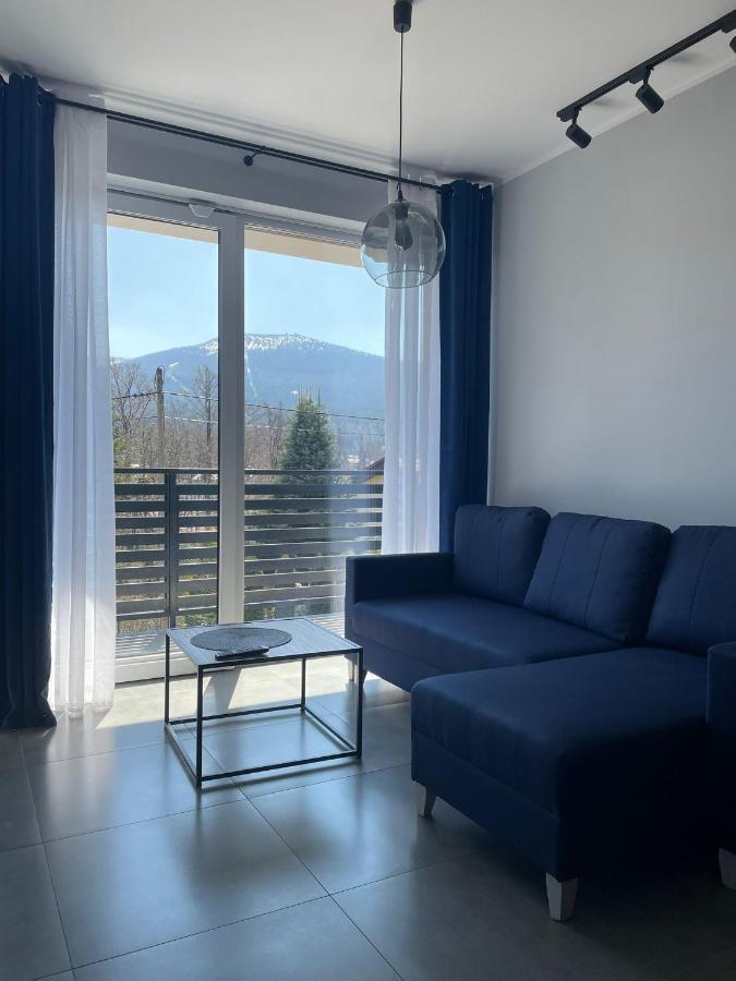 Z Widokiem Apartamenty - Apartamenty Z Widokiem Na Gory I Zewnetrzna Balia Szklarska Poręba Esterno foto